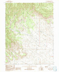 Calf Canyon Utah Historical topographic map, 1:24000 scale, 7.5 X 7.5 Minute, Year 1991