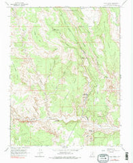 Calf Creek Utah Historical topographic map, 1:24000 scale, 7.5 X 7.5 Minute, Year 1964
