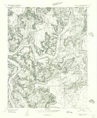 Carlisle 1 NW Utah Historical topographic map, 1:24000 scale, 7.5 X 7.5 Minute, Year 1954