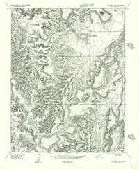 Carlisle 4 SW Utah Historical topographic map, 1:24000 scale, 7.5 X 7.5 Minute, Year 1954