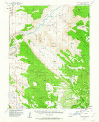 Castle Valley Utah Historical topographic map, 1:62500 scale, 15 X 15 Minute, Year 1954