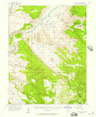 Castle Valley Utah Historical topographic map, 1:62500 scale, 15 X 15 Minute, Year 1954