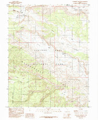 Cathedral Mountain Utah Historical topographic map, 1:24000 scale, 7.5 X 7.5 Minute, Year 1985