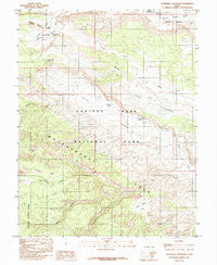 Cathedral Mountain Utah Historical topographic map, 1:24000 scale, 7.5 X 7.5 Minute, Year 1985