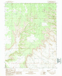 Cedar Mesa South Utah Historical topographic map, 1:24000 scale, 7.5 X 7.5 Minute, Year 1989