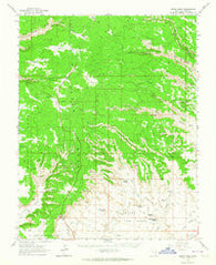 Cedar Mesa Utah Historical topographic map, 1:62500 scale, 15 X 15 Minute, Year 1963