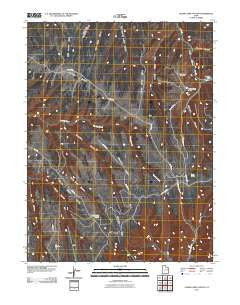 Cedar Camp Canyon Utah Historical topographic map, 1:24000 scale, 7.5 X 7.5 Minute, Year 2011