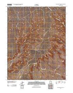 Cedar Mesa South Utah Historical topographic map, 1:24000 scale, 7.5 X 7.5 Minute, Year 2010