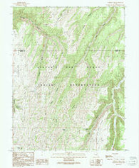 Checken Fork Utah Historical topographic map, 1:24000 scale, 7.5 X 7.5 Minute, Year 1991