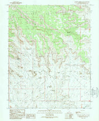 Cigarette Spring Cave Utah Historical topographic map, 1:24000 scale, 7.5 X 7.5 Minute, Year 1989