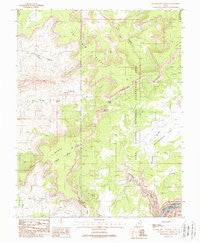 Clearwater Canyon Utah Historical topographic map, 1:24000 scale, 7.5 X 7.5 Minute, Year 1988