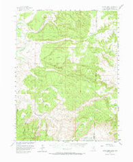 Coates Creek Utah Historical topographic map, 1:62500 scale, 15 X 15 Minute, Year 1954