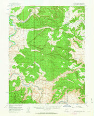 Coates Creek Utah Historical topographic map, 1:62500 scale, 15 X 15 Minute, Year 1954