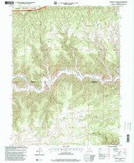 Currant Canyon Utah Historical topographic map, 1:24000 scale, 7.5 X 7.5 Minute, Year 1996