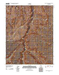 Deep Canyon South Utah Historical topographic map, 1:24000 scale, 7.5 X 7.5 Minute, Year 2011
