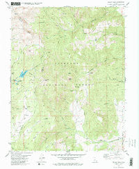 Delano Peak Utah Historical topographic map, 1:24000 scale, 7.5 X 7.5 Minute, Year 1981