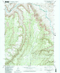 Dolores Point North Colorado Historical topographic map, 1:24000 scale, 7.5 X 7.5 Minute, Year 1985