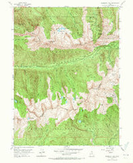 Dromedary Peak Utah Historical topographic map, 1:24000 scale, 7.5 X 7.5 Minute, Year 1955