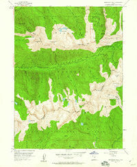 Dromedary Peak Utah Historical topographic map, 1:24000 scale, 7.5 X 7.5 Minute, Year 1955