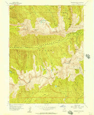 Dromedary Peak Utah Historical topographic map, 1:24000 scale, 7.5 X 7.5 Minute, Year 1955
