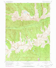 Dromedary Peak Utah Historical topographic map, 1:24000 scale, 7.5 X 7.5 Minute, Year 1955