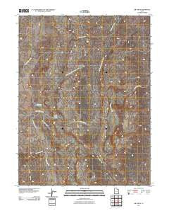 Dry Mesa Utah Historical topographic map, 1:24000 scale, 7.5 X 7.5 Minute, Year 2011