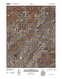 Dry Willow Peak Utah Historical topographic map, 1:24000 scale, 7.5 X 7.5 Minute, Year 2010