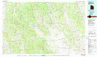 Escalante Utah Historical topographic map, 1:100000 scale, 30 X 60 Minute, Year 1980