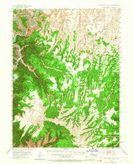 Firewater Canyon Utah Historical topographic map, 1:62500 scale, 15 X 15 Minute, Year 1953
