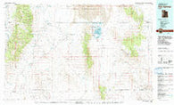 Fish Springs Utah Historical topographic map, 1:100000 scale, 30 X 60 Minute, Year 1979
