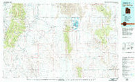 Fish Springs Utah Historical topographic map, 1:100000 scale, 30 X 60 Minute, Year 1979