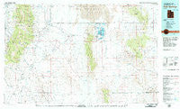 Fish Springs Utah Historical topographic map, 1:100000 scale, 30 X 60 Minute, Year 1979