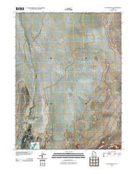 Fish Springs NE Utah Historical topographic map, 1:24000 scale, 7.5 X 7.5 Minute, Year 2010