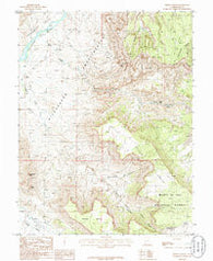 Fisher Towers Utah Historical topographic map, 1:24000 scale, 7.5 X 7.5 Minute, Year 1985