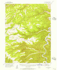 Flat Canyon Utah Historical topographic map, 1:62500 scale, 15 X 15 Minute, Year 1954