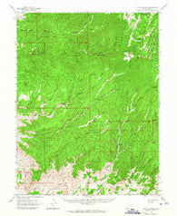 Floy Canyon Utah Historical topographic map, 1:62500 scale, 15 X 15 Minute, Year 1963