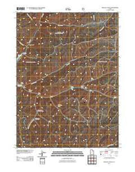 Francis Canyon Utah Historical topographic map, 1:24000 scale, 7.5 X 7.5 Minute, Year 2011