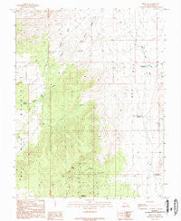 Frisco SW Utah Historical topographic map, 1:24000 scale, 7.5 X 7.5 Minute, Year 1989