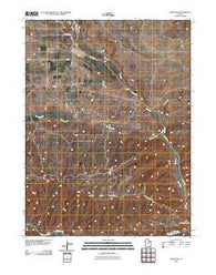 Fruitland Utah Historical topographic map, 1:24000 scale, 7.5 X 7.5 Minute, Year 2010