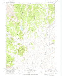 Grouse Creek Utah Historical topographic map, 1:24000 scale, 7.5 X 7.5 Minute, Year 1971