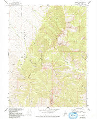 Ibapah Peak Utah Historical topographic map, 1:24000 scale, 7.5 X 7.5 Minute, Year 1972