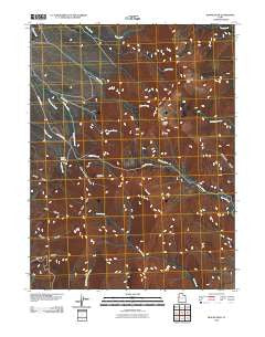 Ibapah Peak Utah Historical topographic map, 1:24000 scale, 7.5 X 7.5 Minute, Year 2010