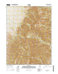 Ibapah Peak Utah Current topographic map, 1:24000 scale, 7.5 X 7.5 Minute, Year 2014