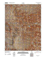 Ireland Mesa Utah Historical topographic map, 1:24000 scale, 7.5 X 7.5 Minute, Year 2010