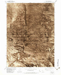 Jackson Utah Historical topographic map, 1:24000 scale, 7.5 X 7.5 Minute, Year 1983