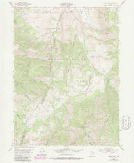 James Peak Utah Historical topographic map, 1:24000 scale, 7.5 X 7.5 Minute, Year 1955