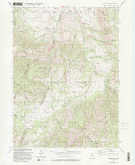 James Peak Utah Historical topographic map, 1:24000 scale, 7.5 X 7.5 Minute, Year 1991
