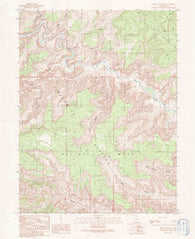 Jenny Canyon Utah Historical topographic map, 1:24000 scale, 7.5 X 7.5 Minute, Year 1991