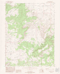 Jug Rock Utah Historical topographic map, 1:24000 scale, 7.5 X 7.5 Minute, Year 1988