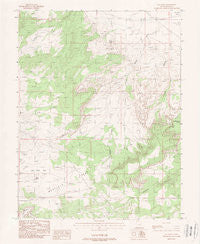 Jug Rock Utah Historical topographic map, 1:24000 scale, 7.5 X 7.5 Minute, Year 1988